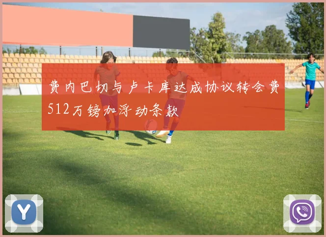 费内巴切与卢卡库达成协议转会费512万镑加浮动条款
